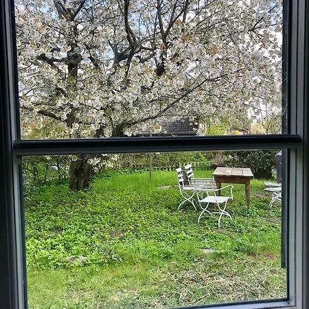 Elbkoje Проживание в семье Drage (Lower-Saxony)