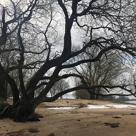 Privatunterkunft Elbkoje *