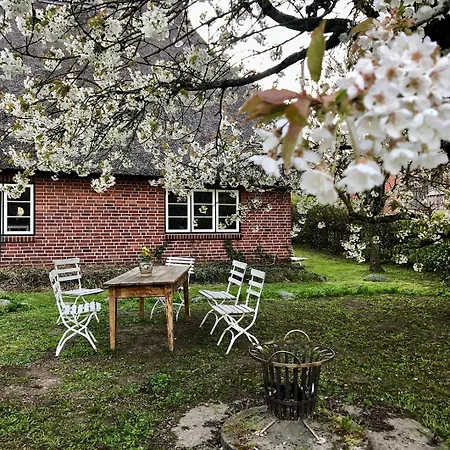 Elbkoje Drage (Lower-Saxony)