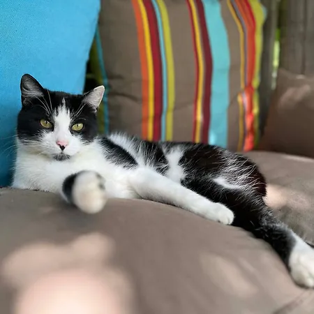 Elbkoje Privatunterkunft