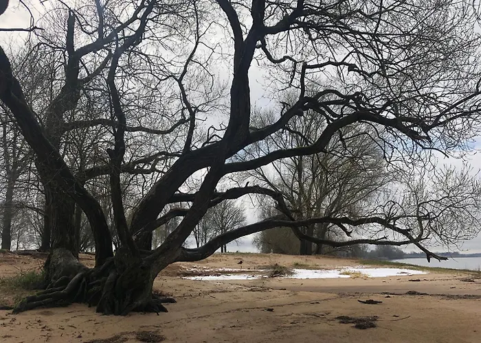 Rum i privatbostad Elbkoje *