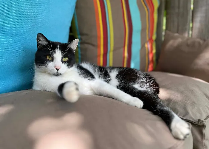 Elbkoje Rum i privatbostad